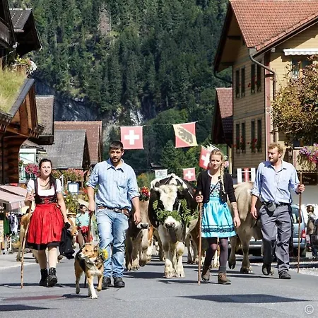 Beautiful Staubbach In A Charming *