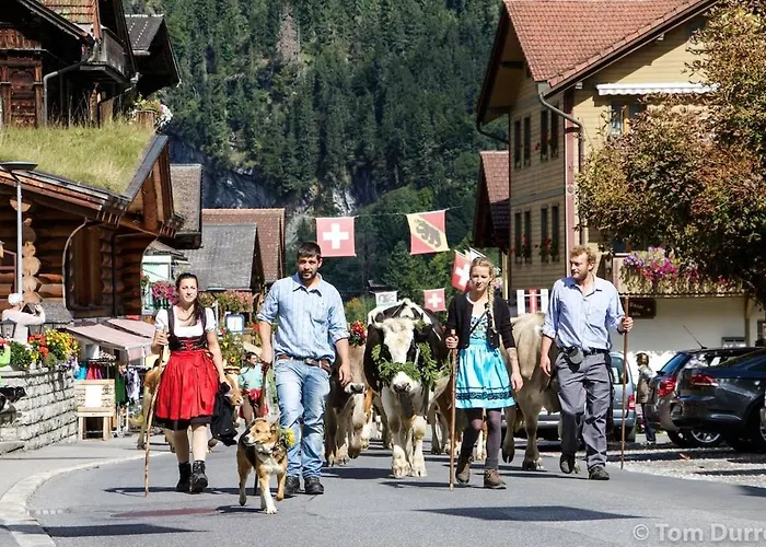 Beautiful Staubbach In A Charming *